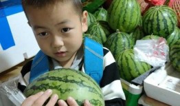 2024大瓜事件,揭秘娱乐圈风云变幻