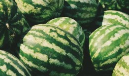 吃瓜网官网免费观看 今日吃瓜,免费畅享全网最新吃瓜资讯