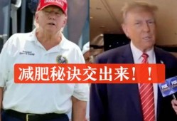 2024大瓜事件,揭秘娱乐圈风云变幻